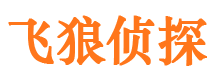 铁山港市侦探公司